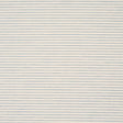 Schumacher Austen Performance Stripe Ice Fabric