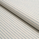 Schumacher Austen Performance Stripe Ice Fabric