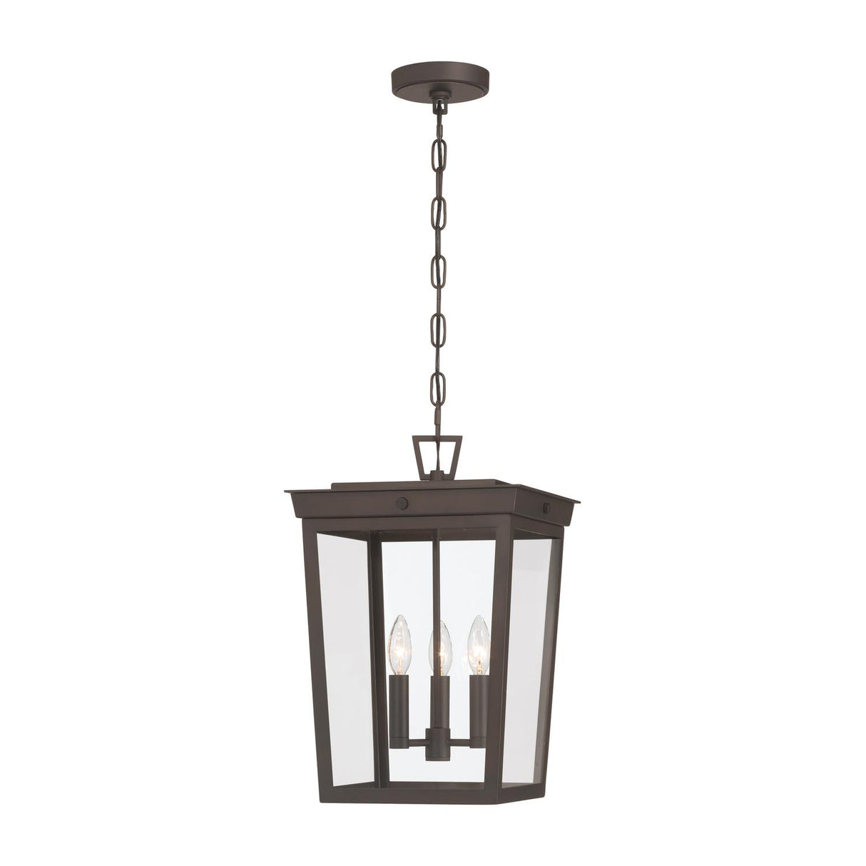 Crystorama Belmont 12'' Twilight Bronze Outdoor Pendant