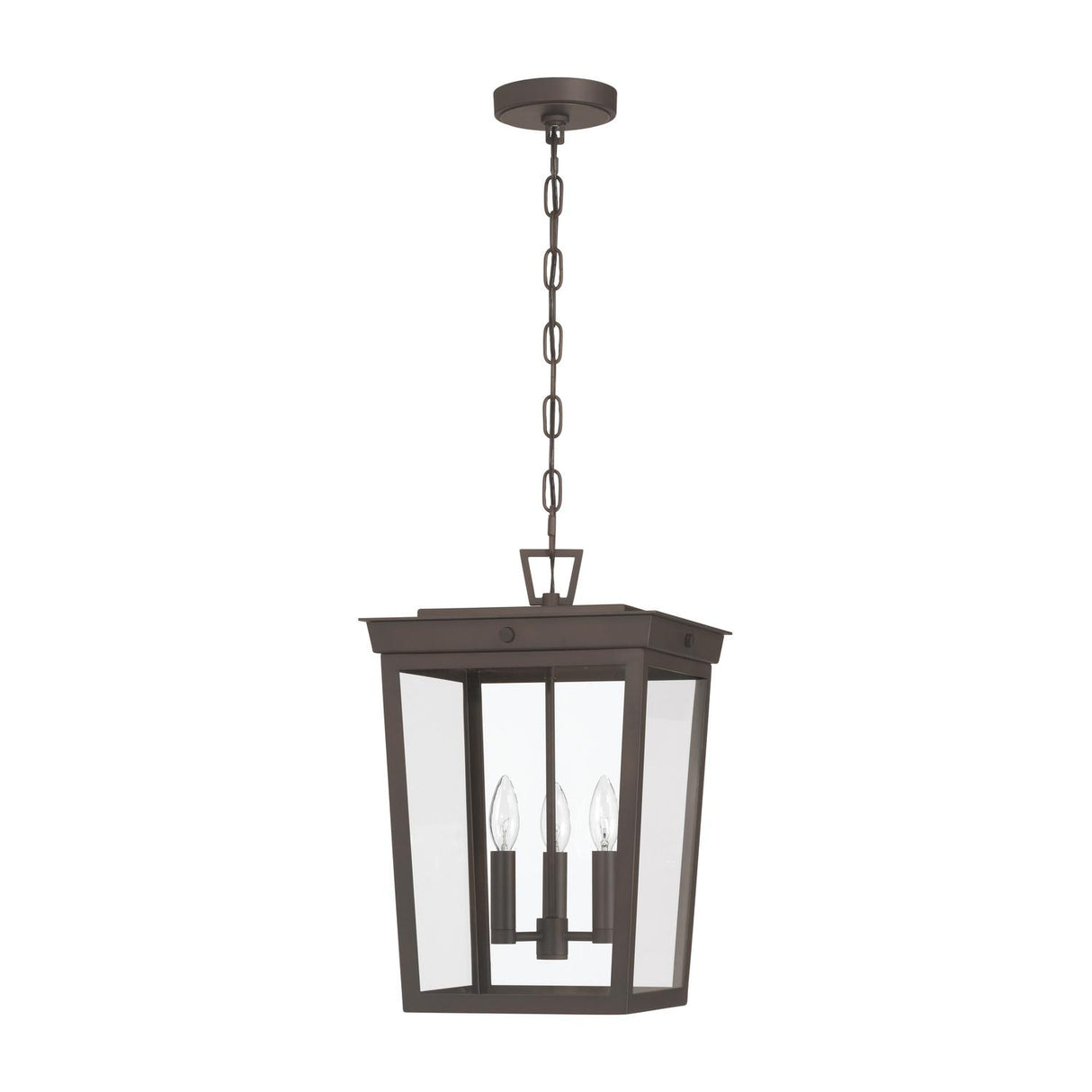 Crystorama Belmont 12'' Twilight Bronze Outdoor Pendant
