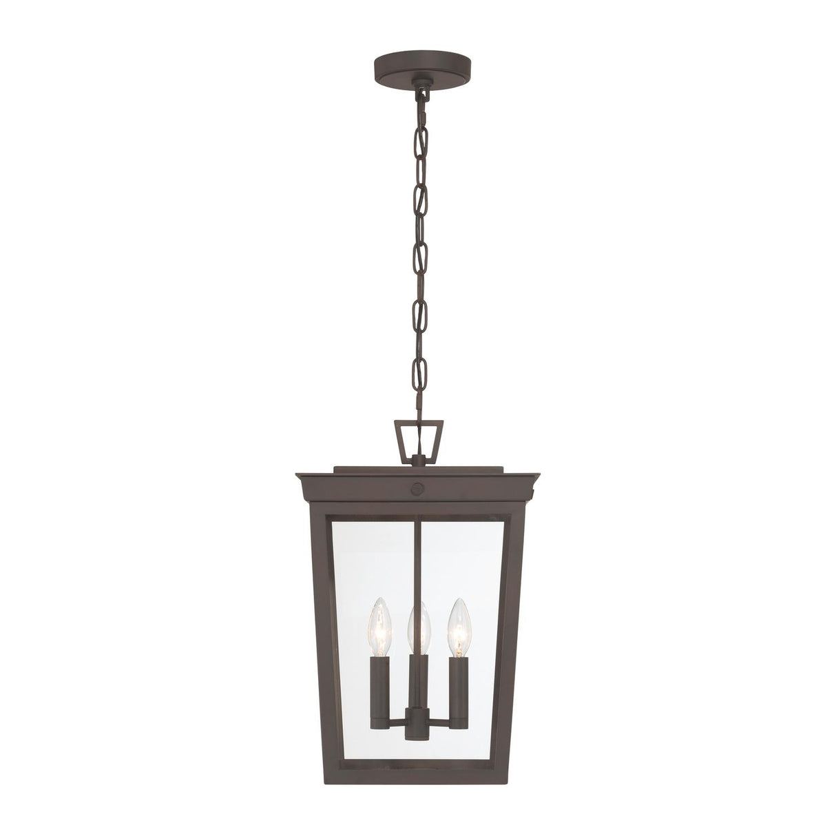 Crystorama Belmont 12'' Twilight Bronze Outdoor Pendant