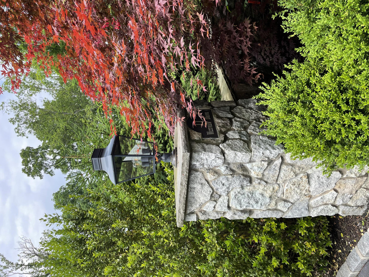 Crystorama Dumont 12'' Graphite Outdoor Post