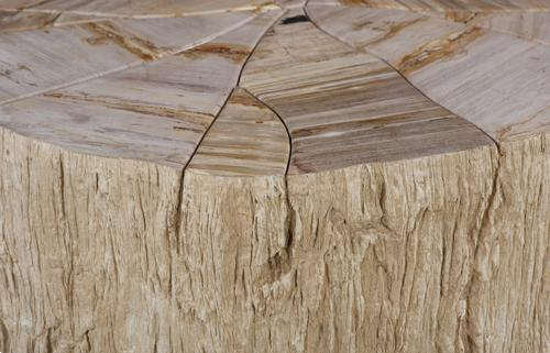 Phillips Collection Converge Petrified Rough Cream Coffee Table