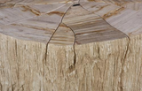 Phillips Collection Converge Petrified Rough Cream Coffee Table