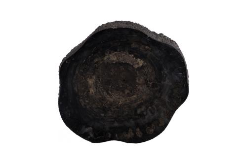 Phillips Collection Chaka Petrified Rough Black Large Coffee Table