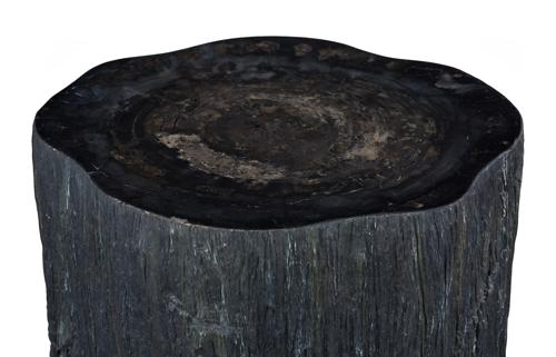 Phillips Collection Chaka Petrified Rough Black Large Coffee Table
