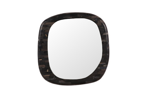 Phillips Collection Morphic Petrified Rounded Black Frame Mirror