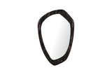 Phillips Collection Morphic Petrified Point Black Frame Mirror