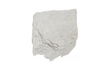 Phillips Collection Stratified Cast Stone Wall Art Roman Stone Accent