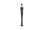 Phillips Collection Payo Sculpture Black Accent