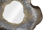 Phillips Collection Bloom Metal MD Mirror