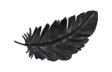 Phillips Collection Feather Wall Decor, Black, Metal SM Accent