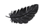 Phillips Collection Feather Wall Decor, Black, Metal SM Accent