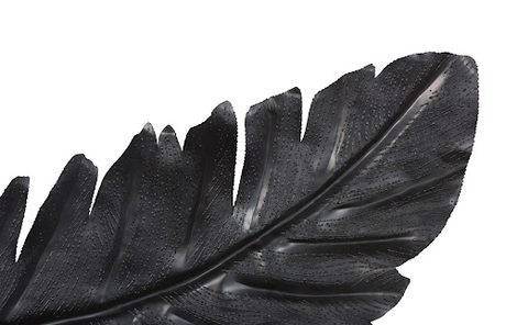 Phillips Collection Feather Wall Decor, Black, Metal SM Accent