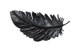Phillips Collection Feather Wall Decor, Black, Metal SM Accent