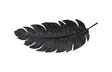 Phillips Collection Feather Wall Decor, Black, Metal LG Accent