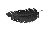 Phillips Collection Feather Wall Decor, Black, Metal LG Accent