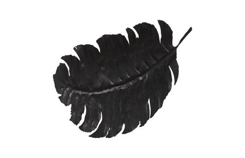 Phillips Collection Feather Wall Decor, Black, Metal LG Accent
