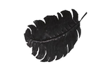 Phillips Collection Feather Wall Decor, Black, Metal LG Accent
