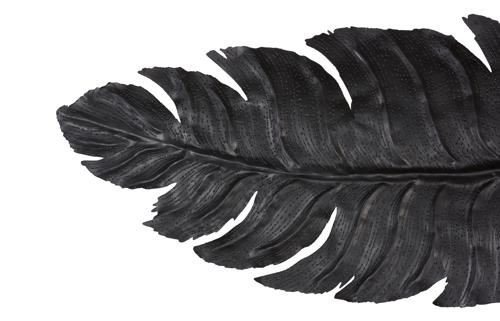 Phillips Collection Feather Wall Decor, Black, Metal LG Accent