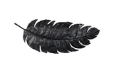 Phillips Collection Feather Wall Decor, Black, Metal LG Accent