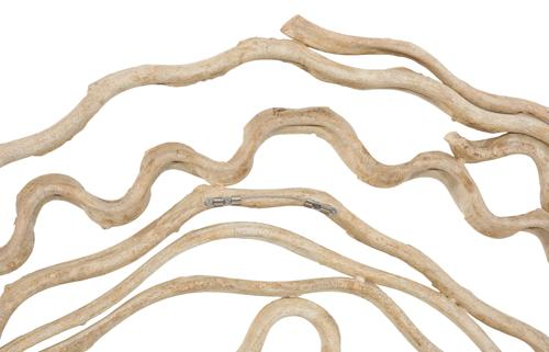 Phillips Collection Vine Wall Flower, Bleached Large Accent