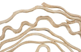 Phillips Collection Vine Wall Flower, Bleached Large Accent