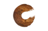 Phillips Collection Swoop , Natural Wood Large Wall Art
