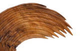 Phillips Collection Swoop , Natural Wood Large Wall Art