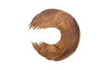 Phillips Collection Swoop , Natural Wood Large Wall Art