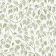 A-Street Prints Hängbjörk Sage Vine Wallpaper