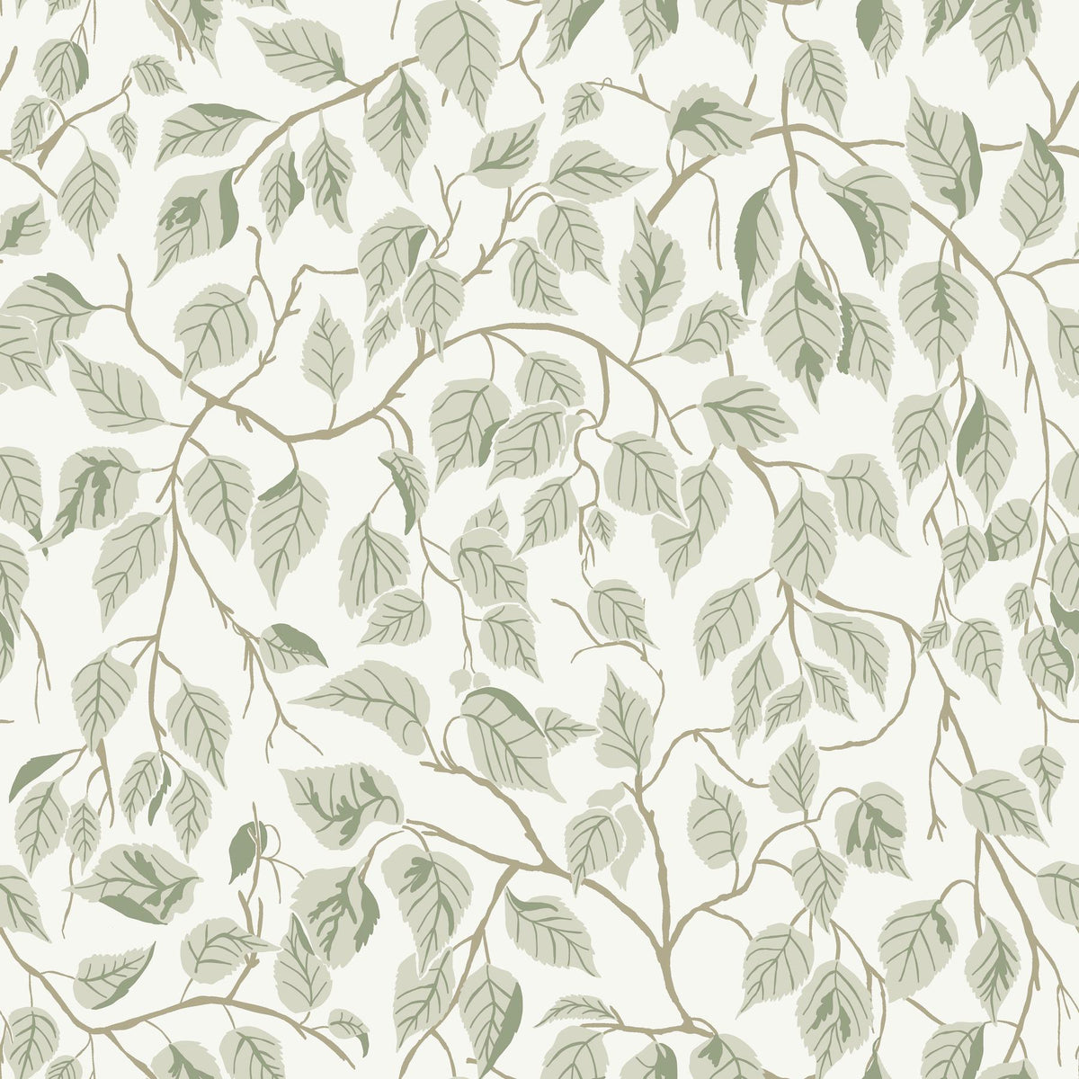 A-Street Prints Hängbjörk Sage Vine Wallpaper