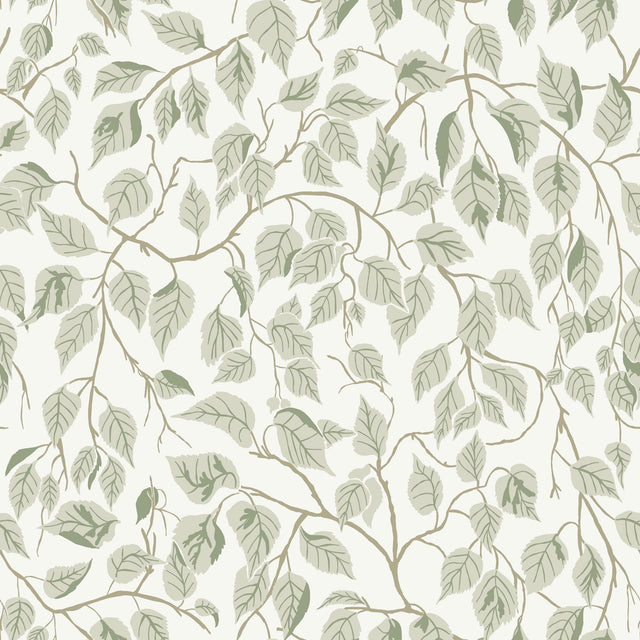 A-Street Prints Hängbjörk Sage Vine Wallpaper