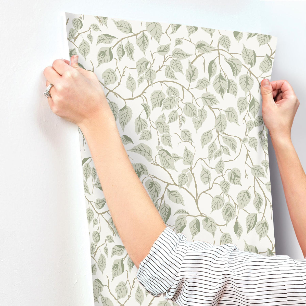 A-Street Prints Hängbjörk Sage Vine Wallpaper