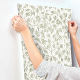A-Street Prints Hängbjörk Sage Vine Wallpaper