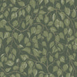 A-Street Prints Hängbjörk Evergreen Vine Wallpaper