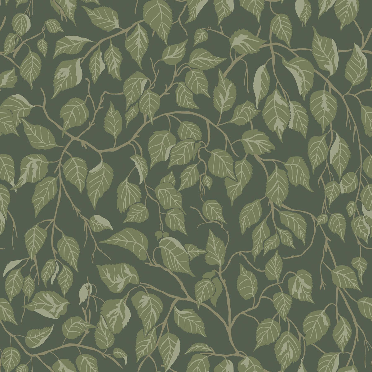 A-Street Prints Hängbjörk Evergreen Vine Wallpaper