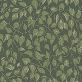 A-Street Prints Hängbjörk Evergreen Vine Wallpaper