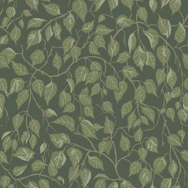 A-Street Prints Hängbjörk Evergreen Vine Wallpaper