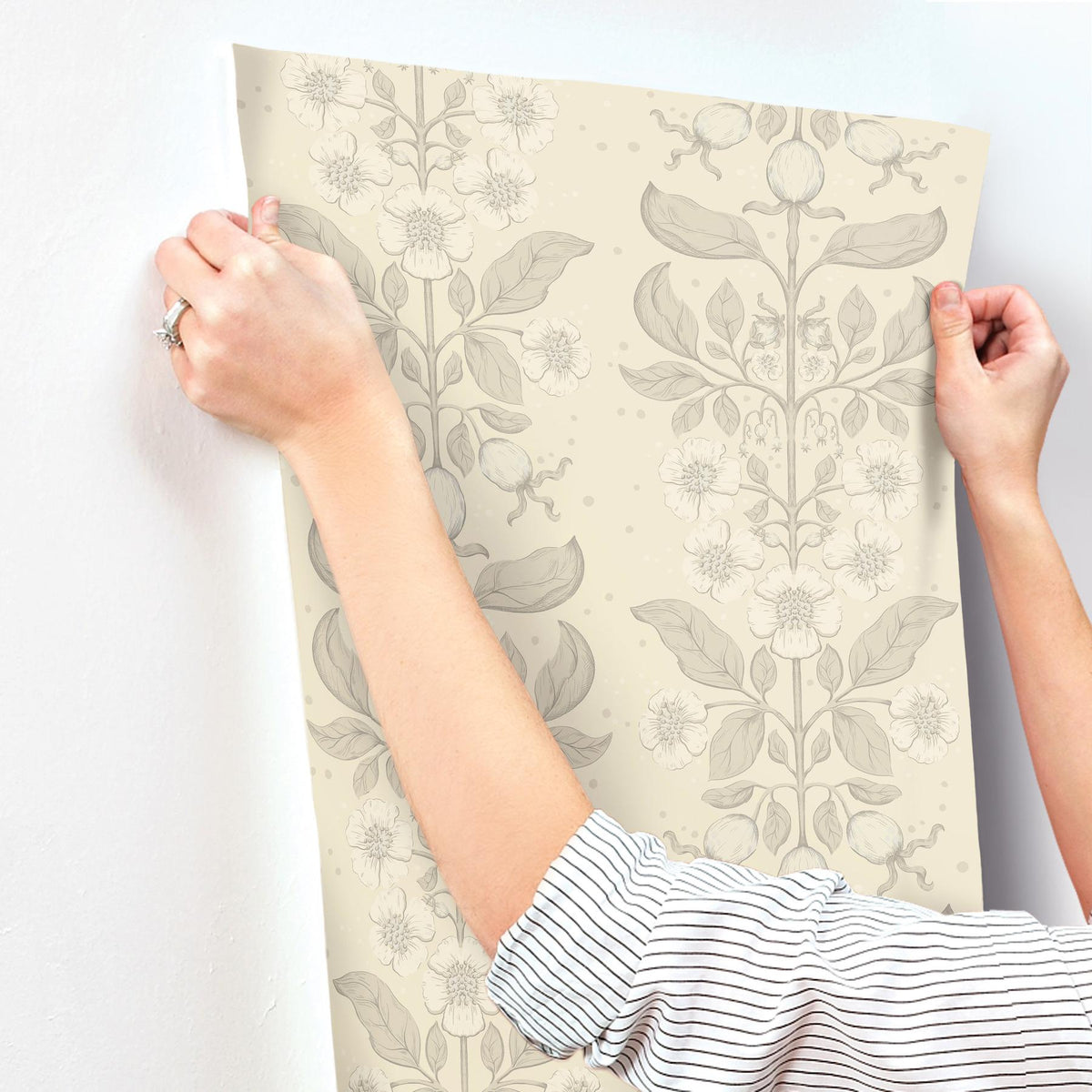 A-Street Prints Rosa Cream Floral Columns Wallpaper