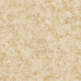 Galerie AM22009-2 Elegance Metallic Plaster Gold Wallpaper AM22009-2 Gold Wallpaper
