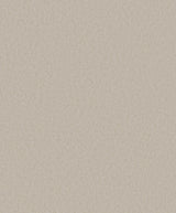 Galerie DC30241 Designer Colors Fine Texture Beige Wallpaper DC30241 Beige Wallpaper