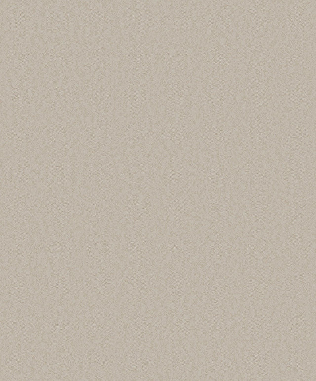 Galerie DC30241 Designer Colors Fine Texture Beige Wallpaper DC30241 Beige Wallpaper