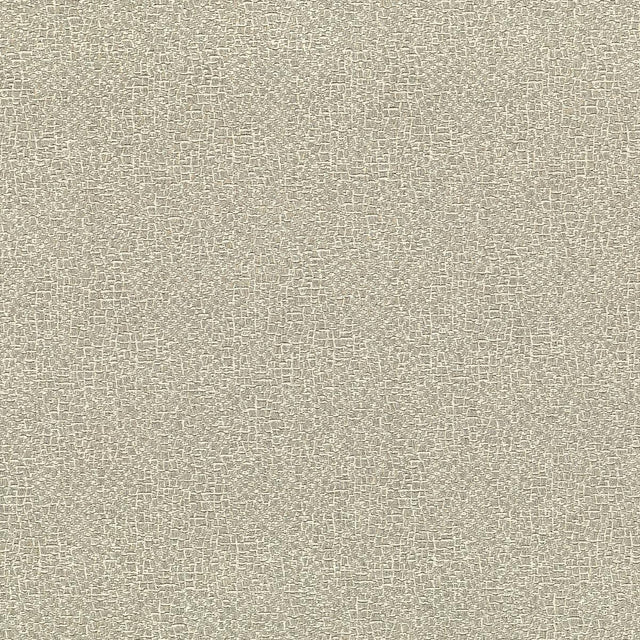 Lizzo ELEPHAS 06 Upholstery Fabric