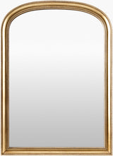 Surya Nalanda ANAN-002 36"H x 24"W x 2"D Mirror