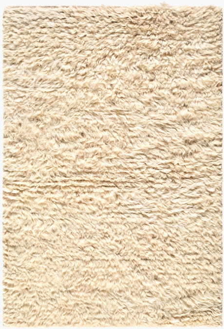 Surya Ayan AYM-2300 2' x 3' Handmade Rug