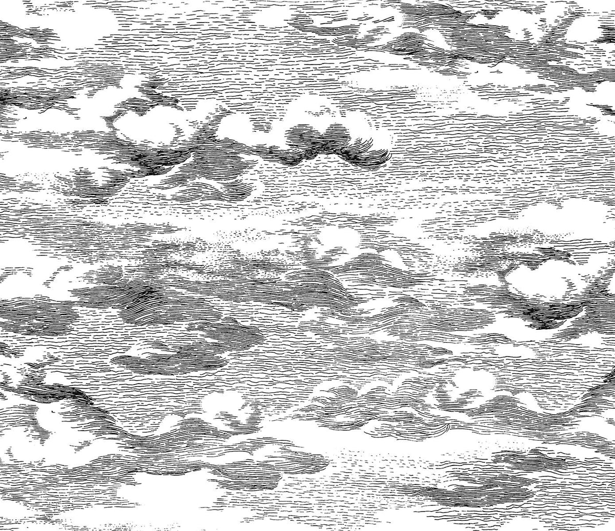 Seabrook Clouds Black Wallpaper