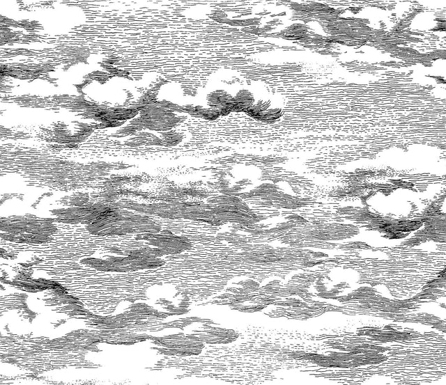 Seabrook Clouds Black Wallpaper