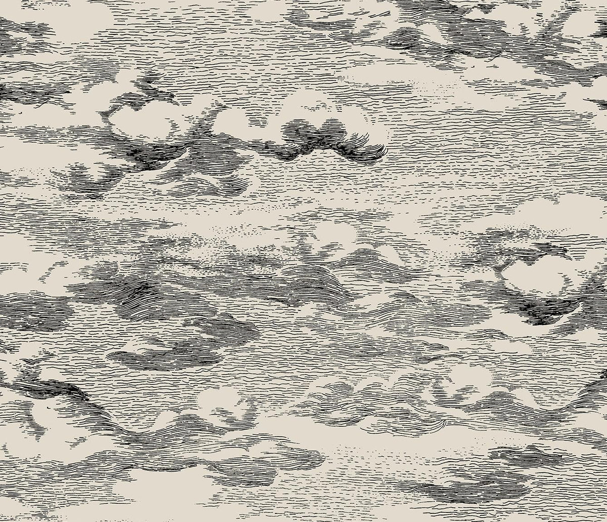 Seabrook Clouds Beige & Black Wallpaper