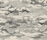 Seabrook Clouds Beige & Black Wallpaper